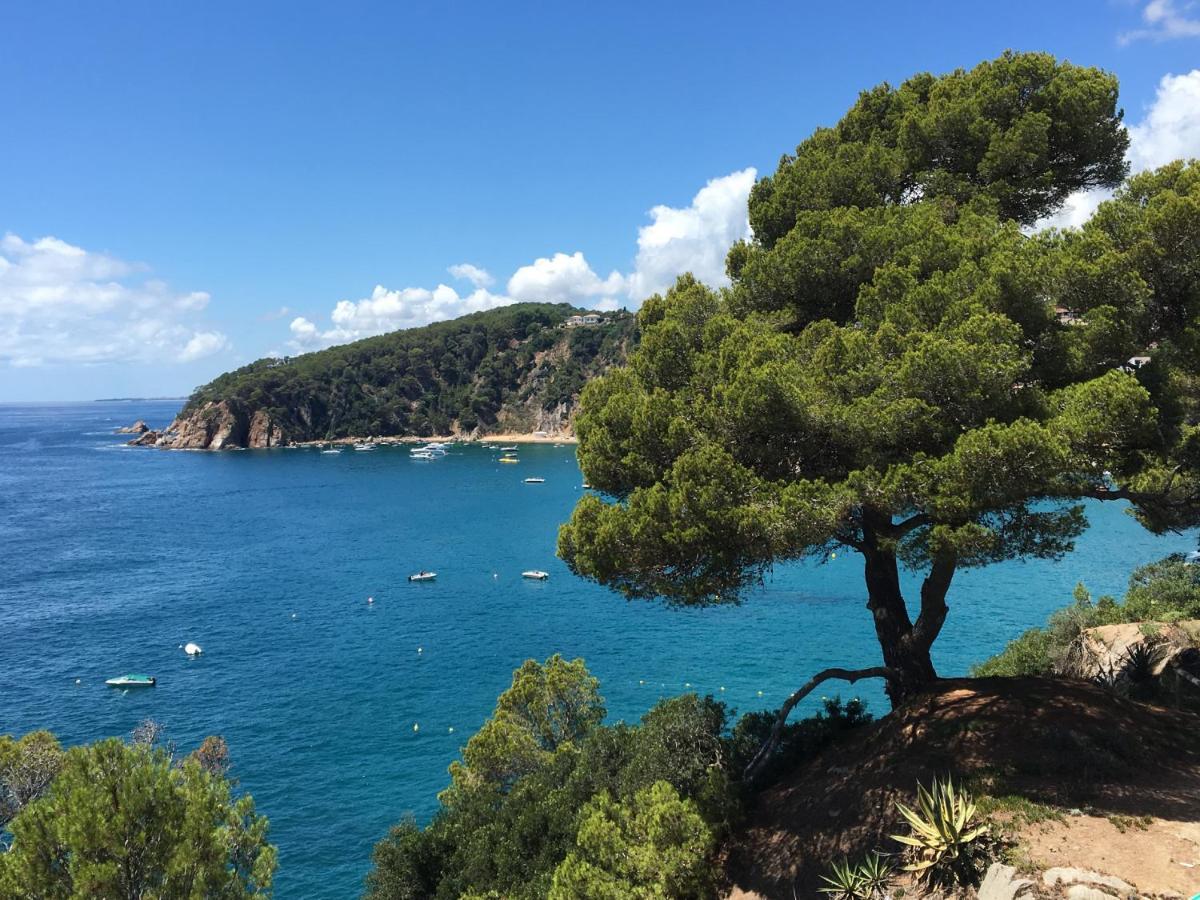 Apartamento Sol Y Mar Cala Llevado Tossa de Mar