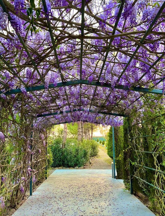 Aatu - Adults Only Hotel Peratallada