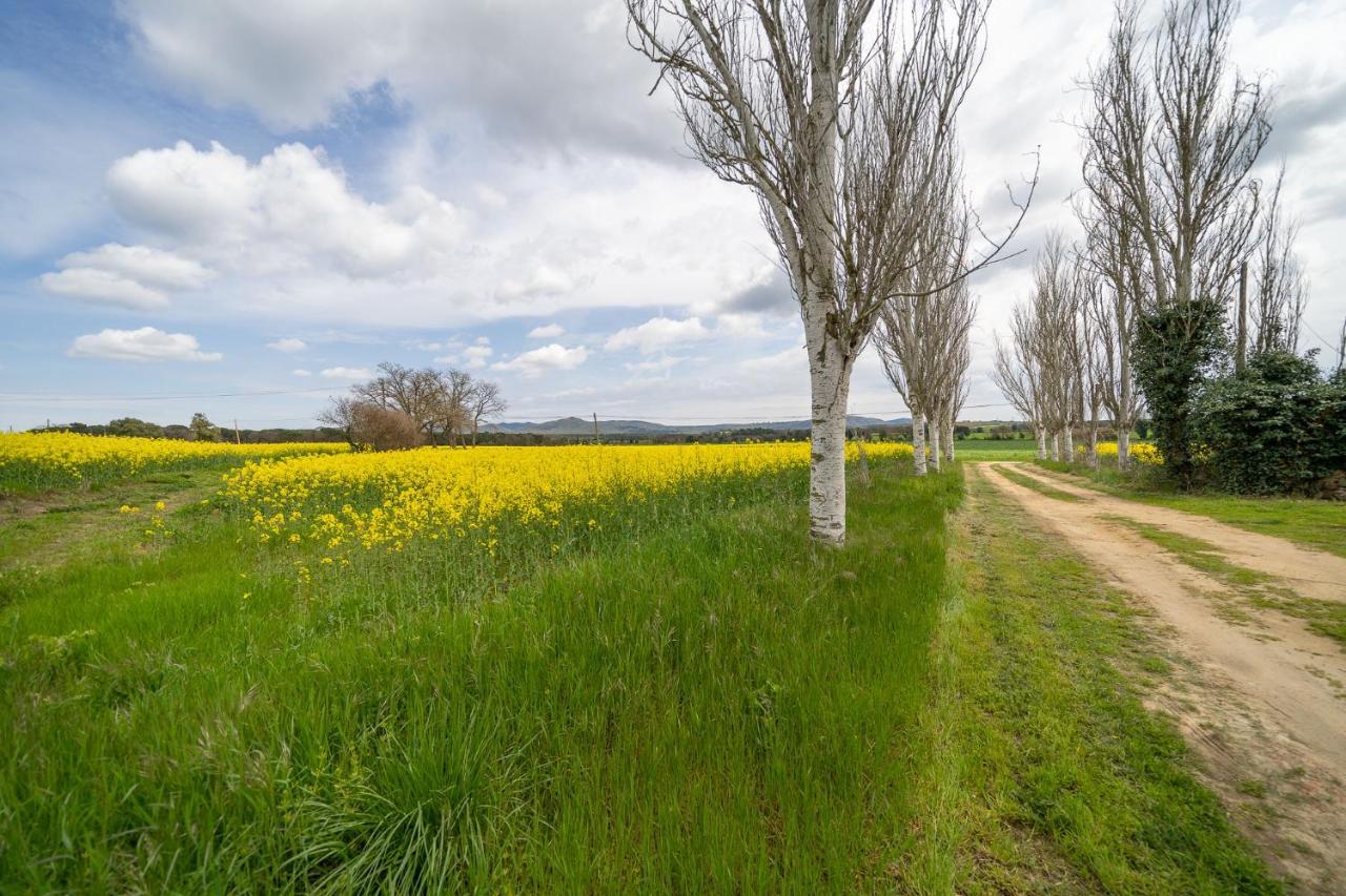 Masia Marco Lux, Ideal Familias Con Gran Zona Exterior Y Piscina Llagostera