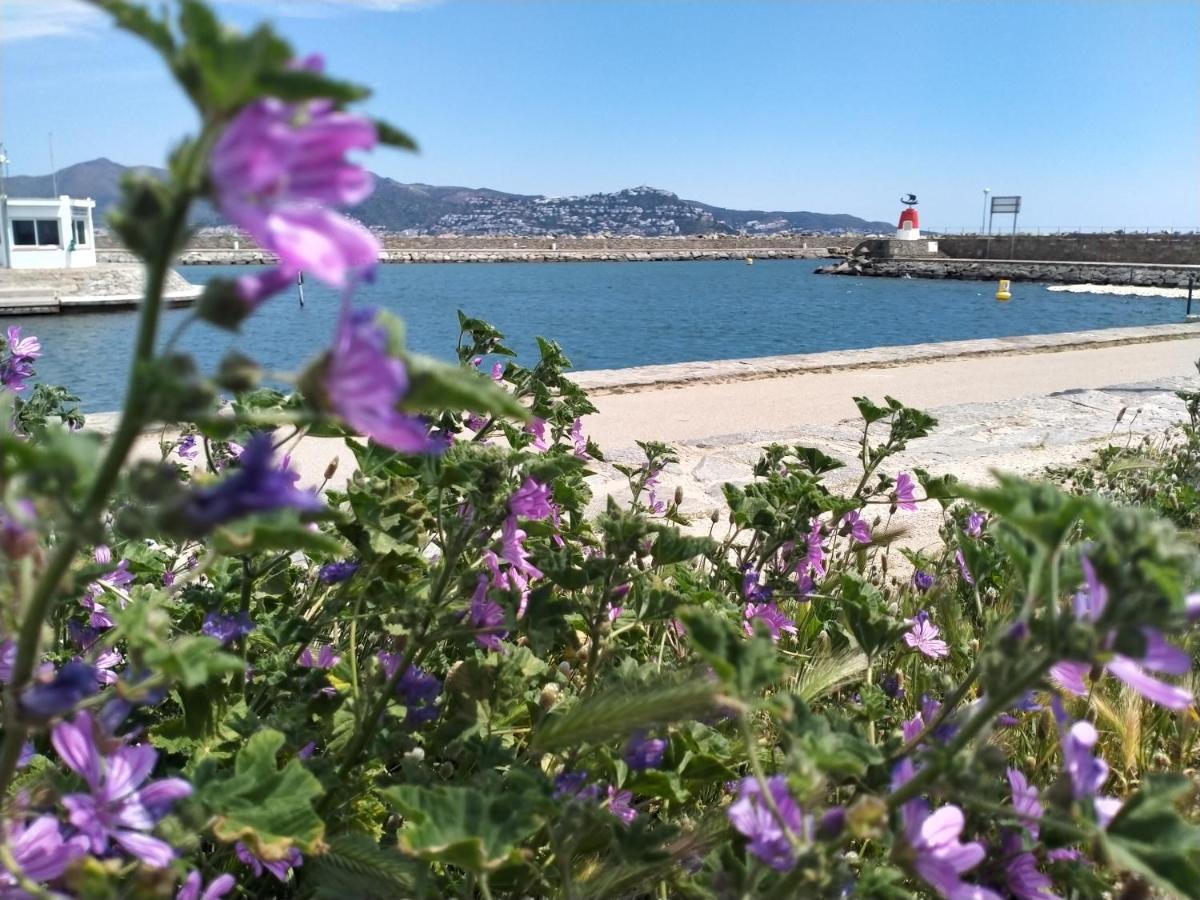 Blue Butterflies * Ampuriabrava