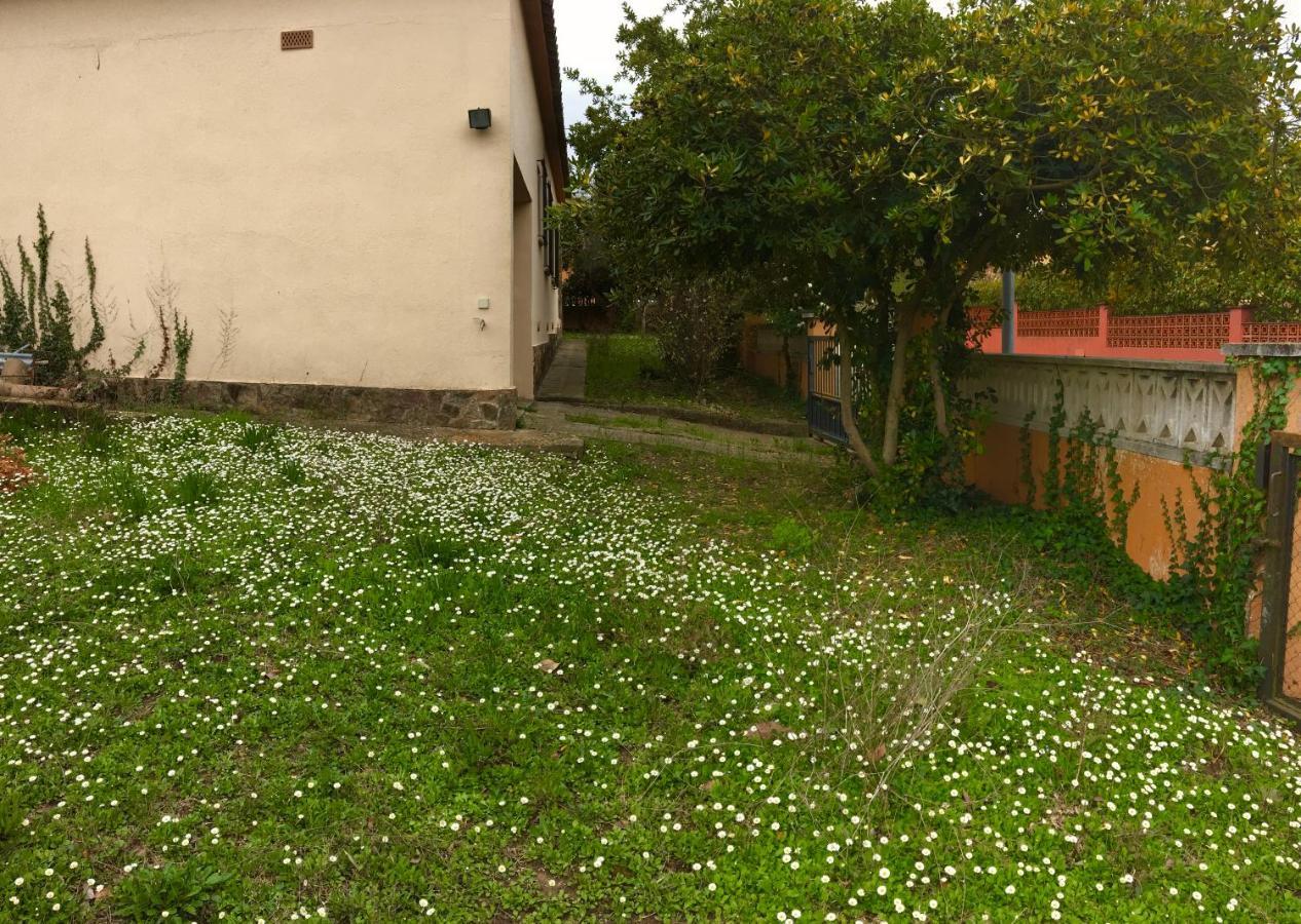 Holiday home Casa Amb Gran Jardi A Vilauer-costa Brava - Alt Emporda Vilaur