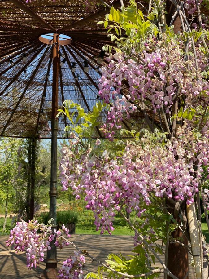 Hotel Mas Generos - Adults-only Eco Fonteta