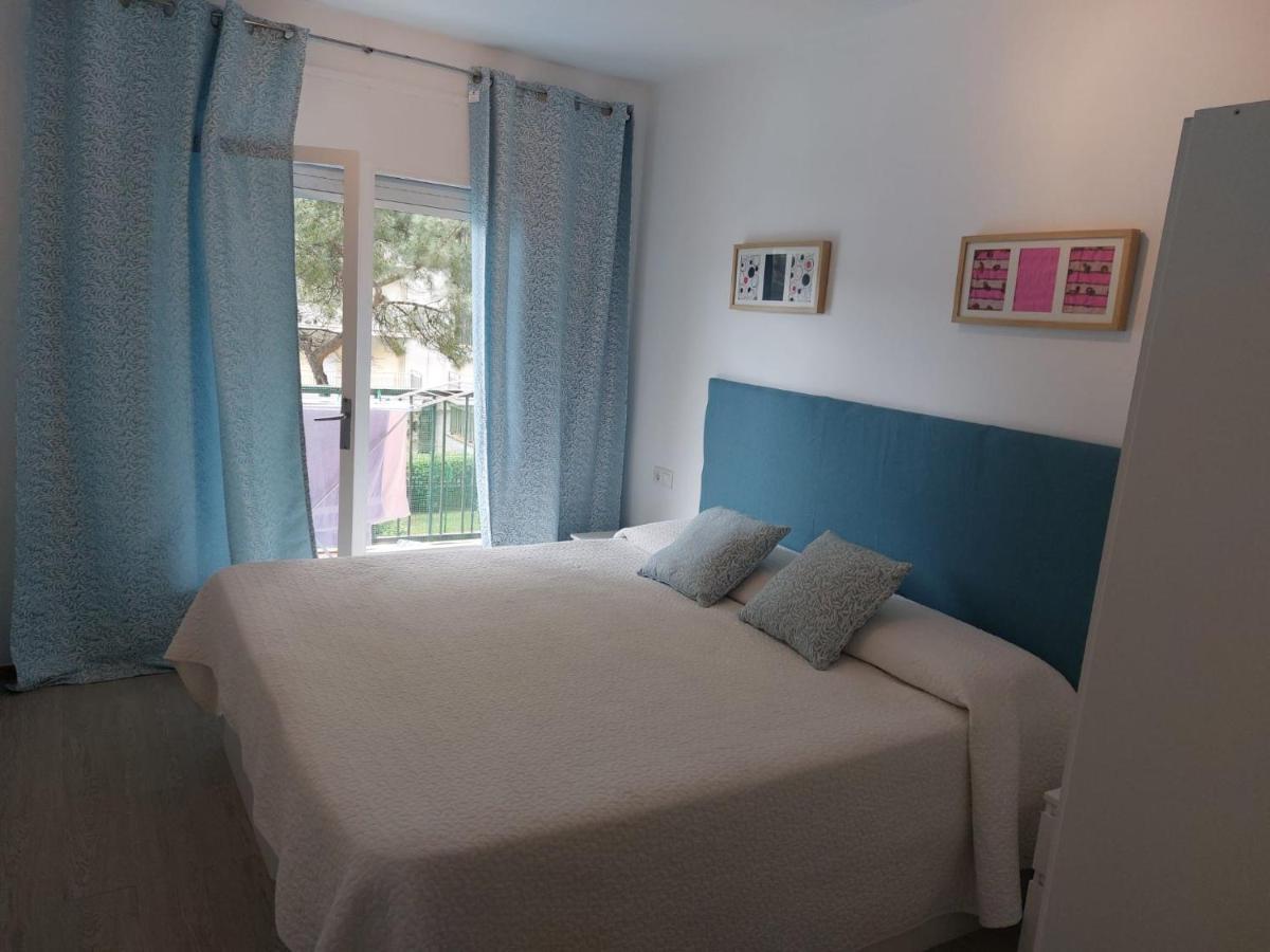Bravaholidays-282-palmeras-2