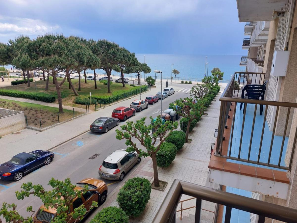 Apartamento Bravaholidays-282-palmeras-2 Blanes