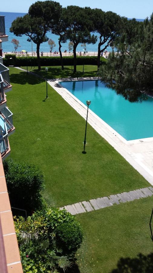 Bravaholidays-282-palmeras-2 * Blanes
