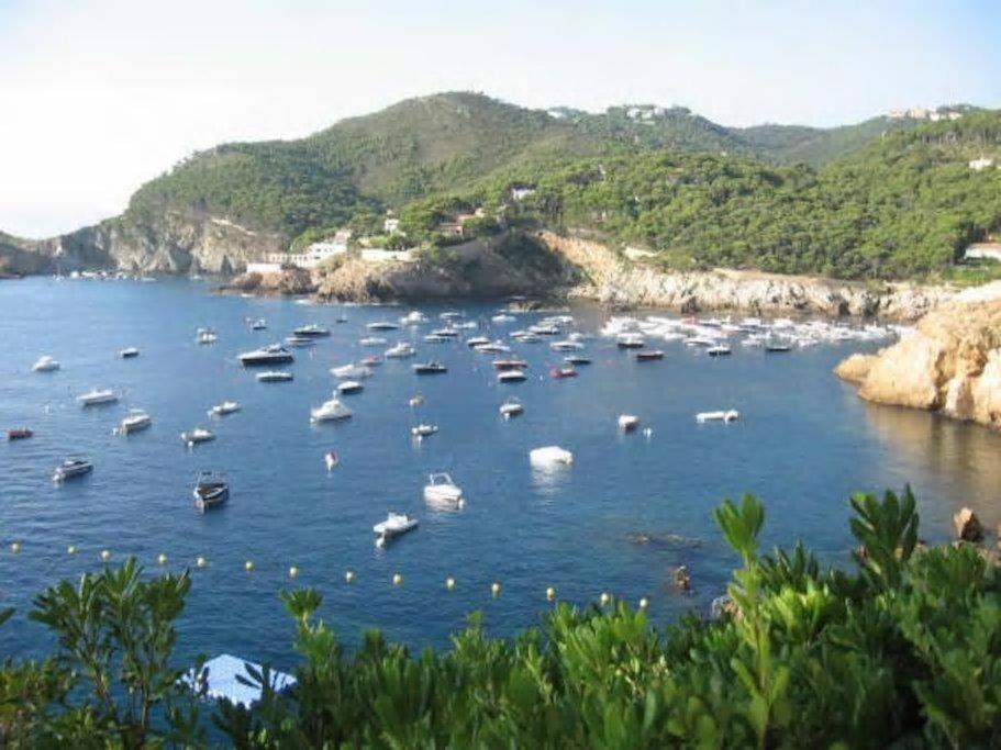 Loft Cap Sa Sal Ii * Begur