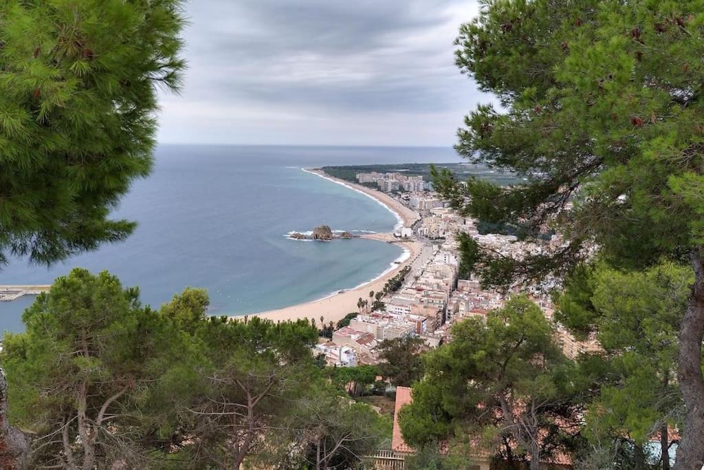 Precioso A 250 Metros De La Playa. Apartamento