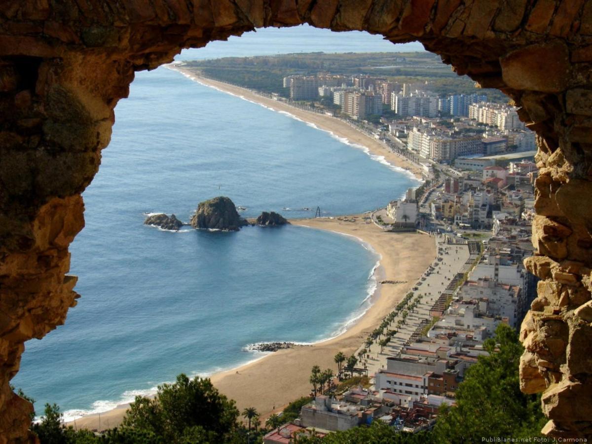 Apartamento Bravaholidays-282-palmeras-2 *
