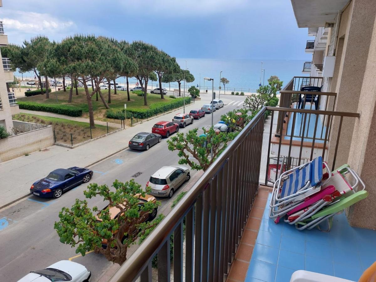 Bravaholidays-282-palmeras-2 * Blanes