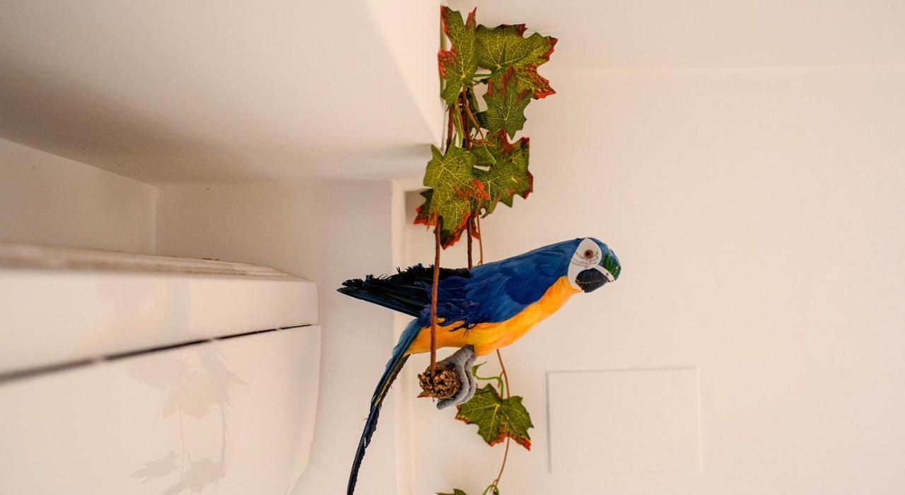 Parrot's House * Lloret de Mar
