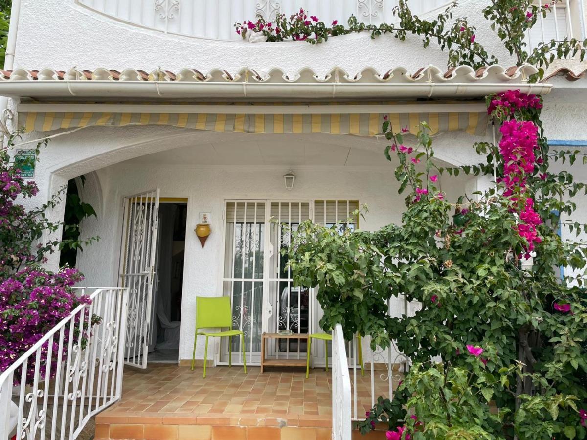 Leones * Empuriabrava