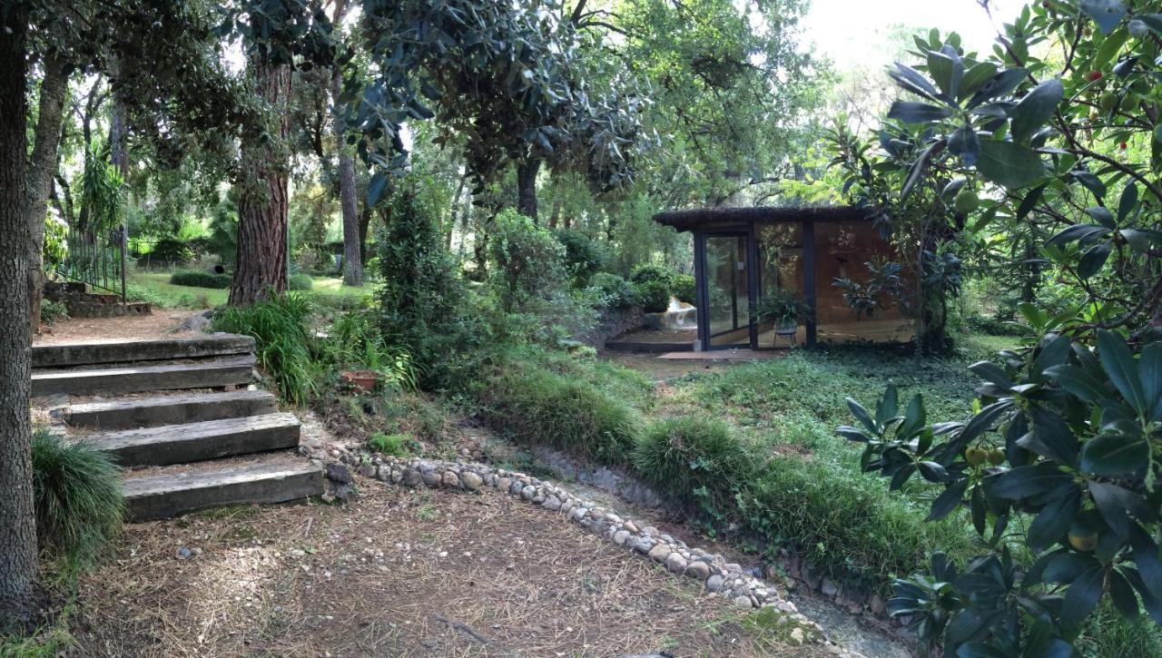La Bruguera De & Eco Retreat Centre Villa *
