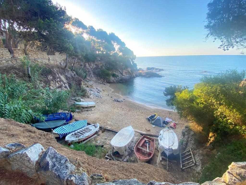 Direct Beachpetfriendly By Rinconesmediterraneos *