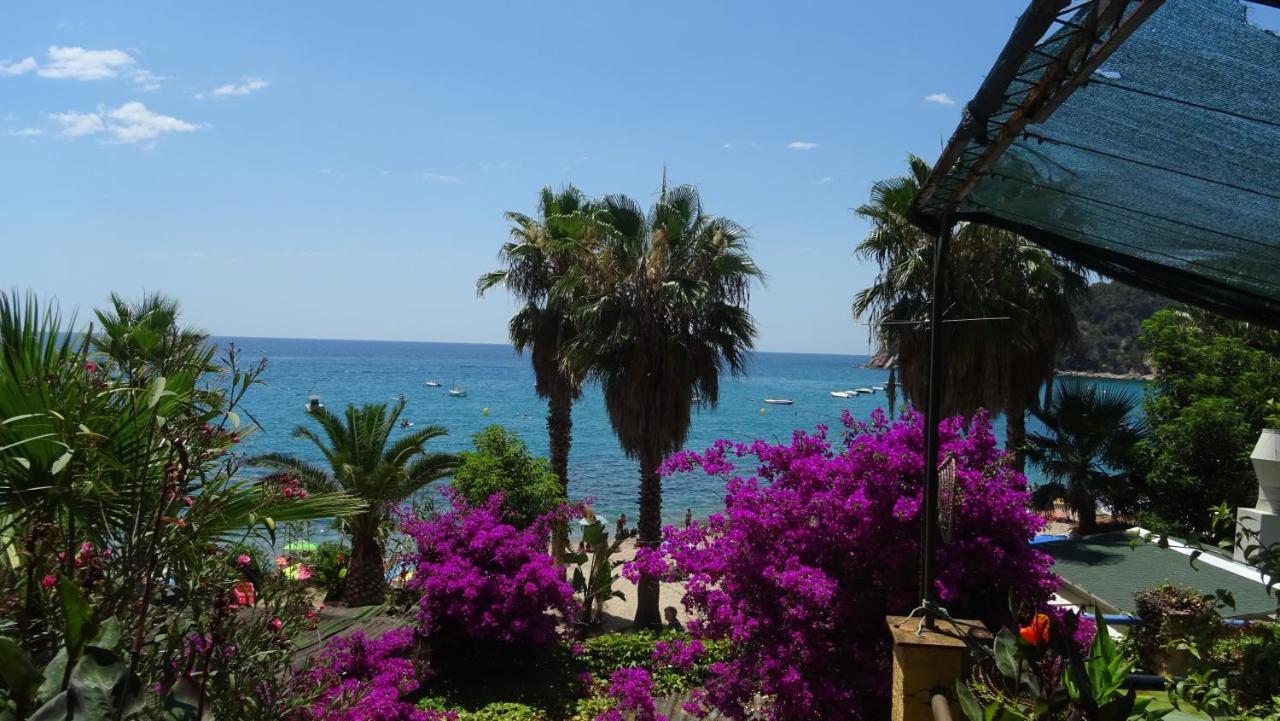 Apartamento Bonic Al Centre Blanes