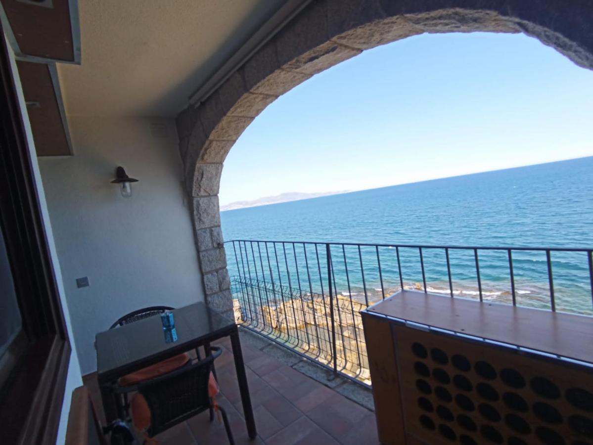 Apartment Albatros House