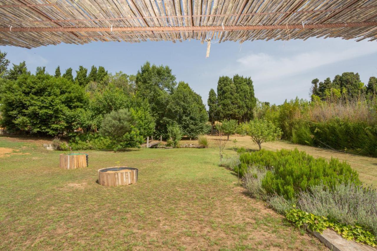 Le Rondini