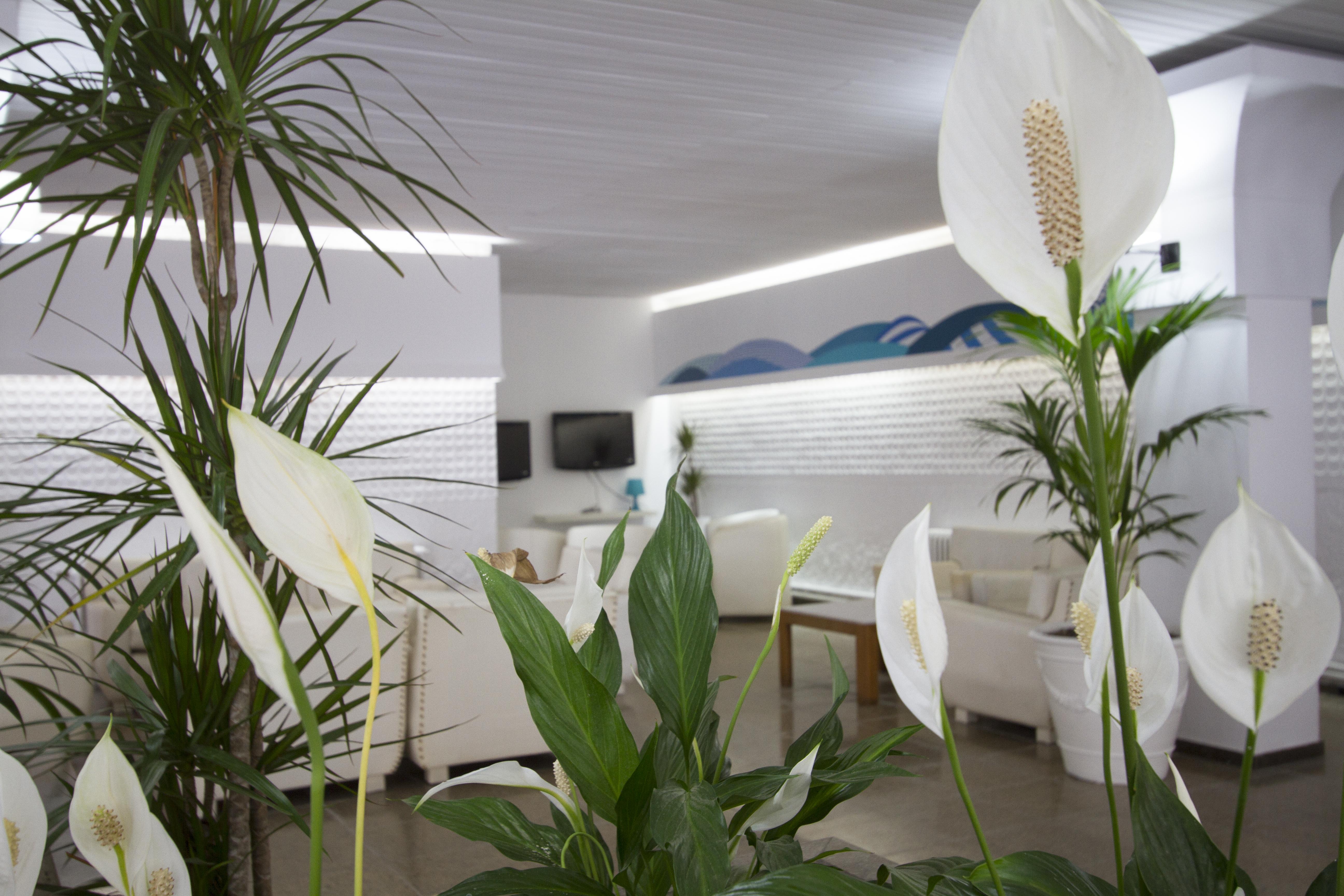Garbi Hotel