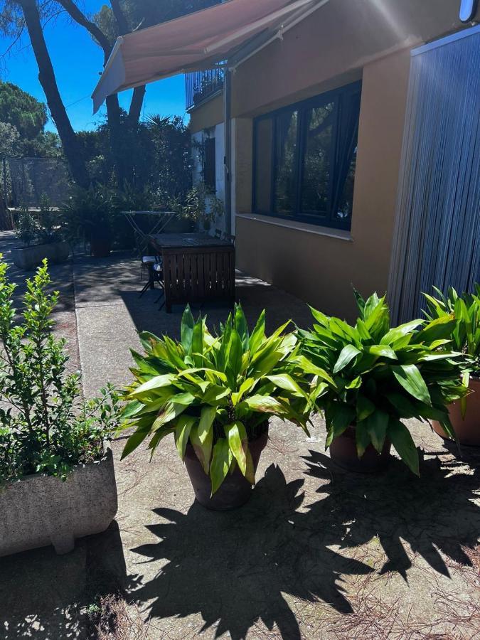 La Casa Linda Con Terraza Y Vistas Al Mar Apartamento Calonge (Catalonia)