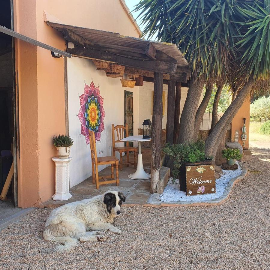 Bed & Breakfast Cal Marxant Palamos