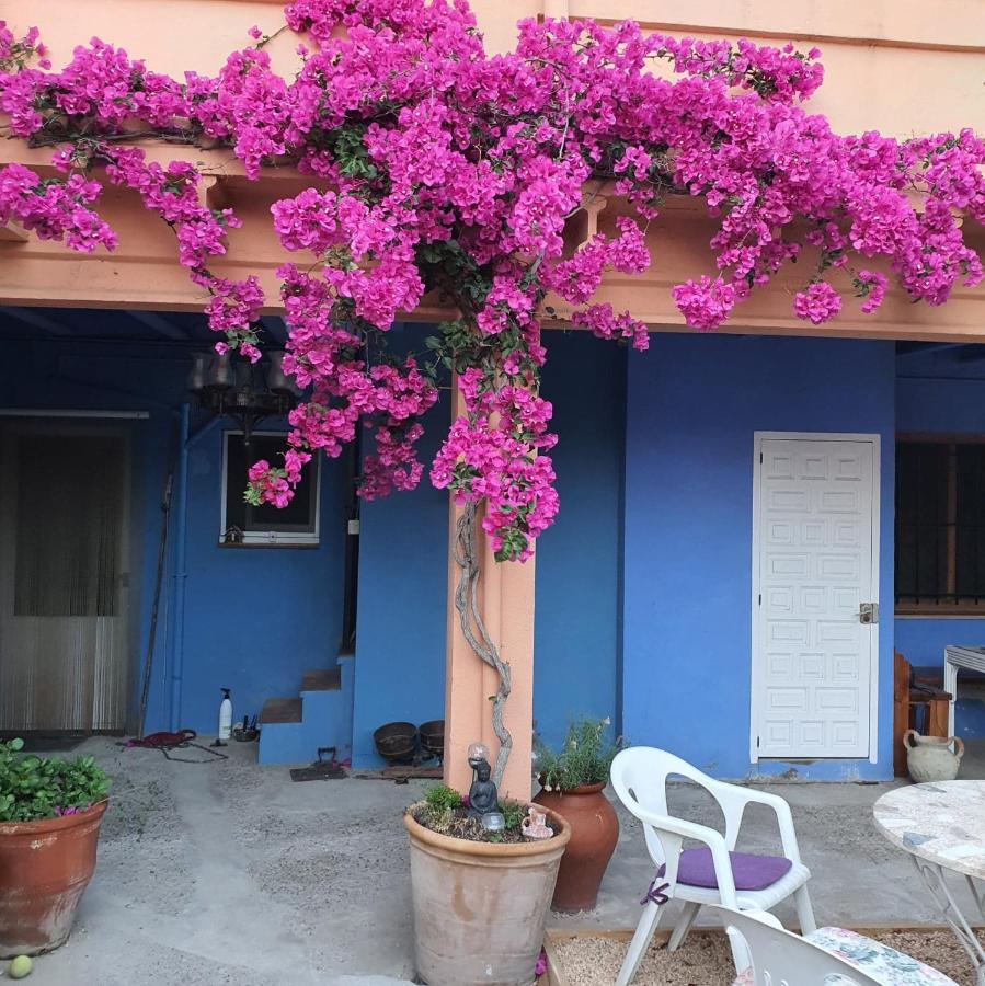 Cal Marxant Bed & Breakfast Palamos