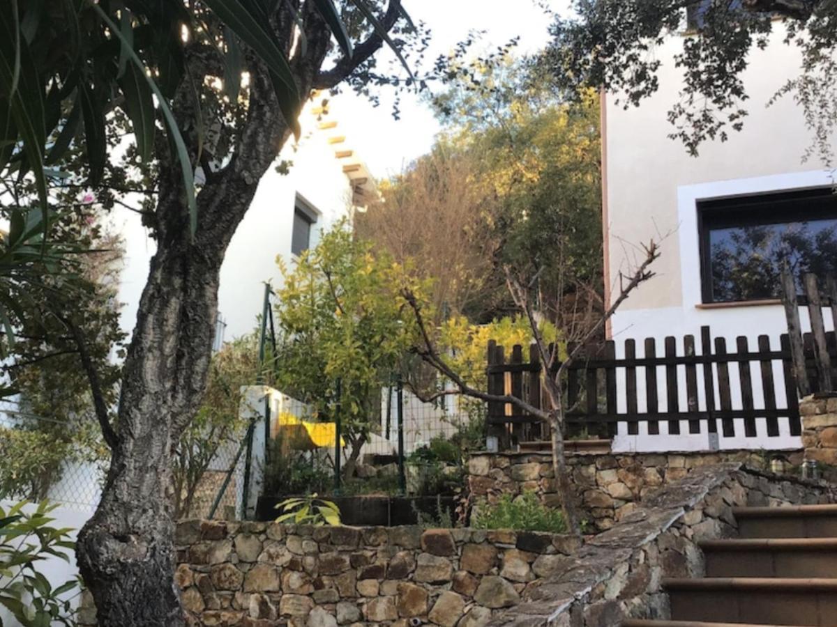 Cosy With Swimming Pool And Spacious Private Terrace Apartment Santa Cristina d'Aro