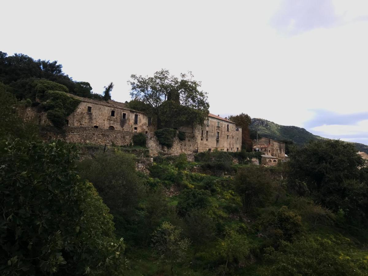 Country house Requesens *