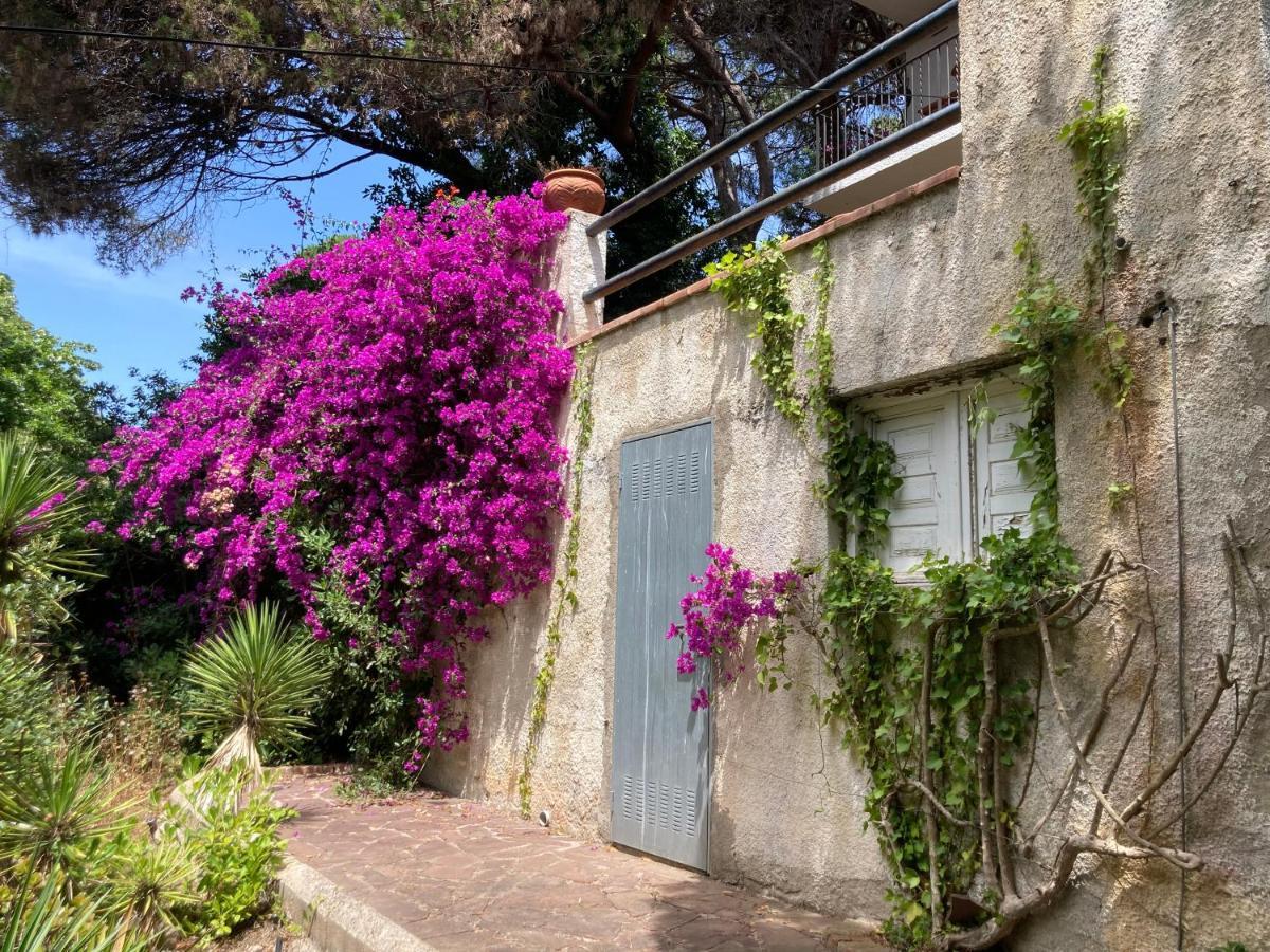 La Casa Bonita *