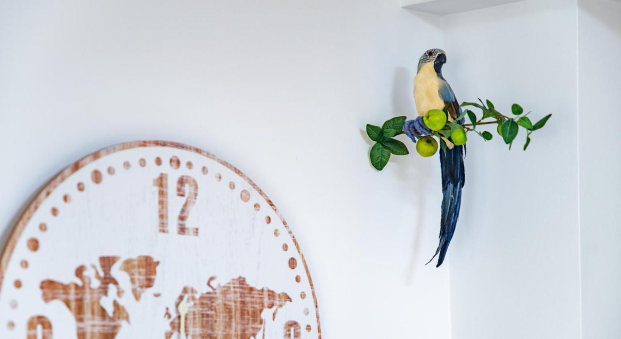 Parrot's House Lloret de Mar