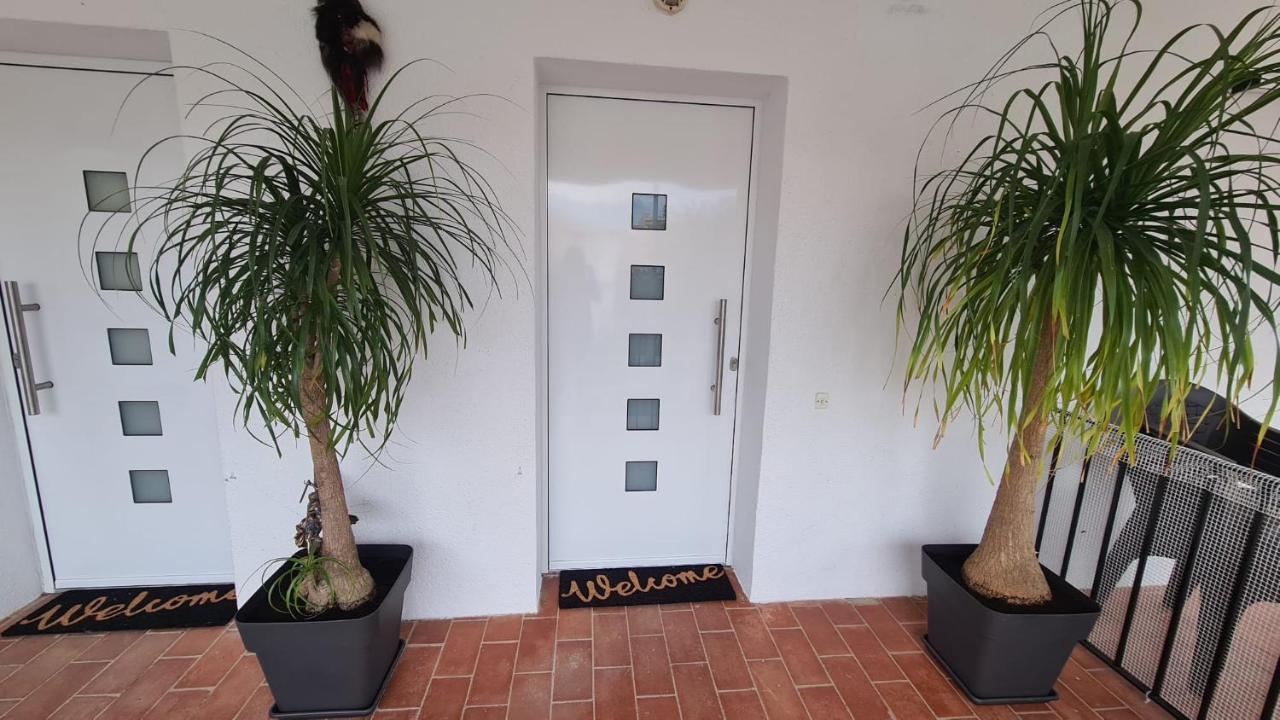 Santa Margarida Apartment