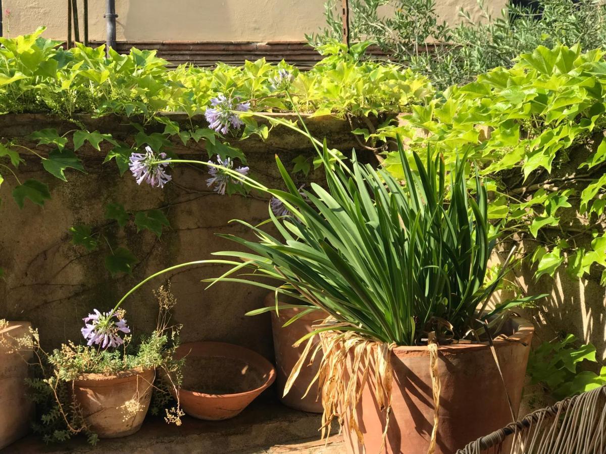 Bed & Breakfast Casa Migdia Sant Jordi Desvalls