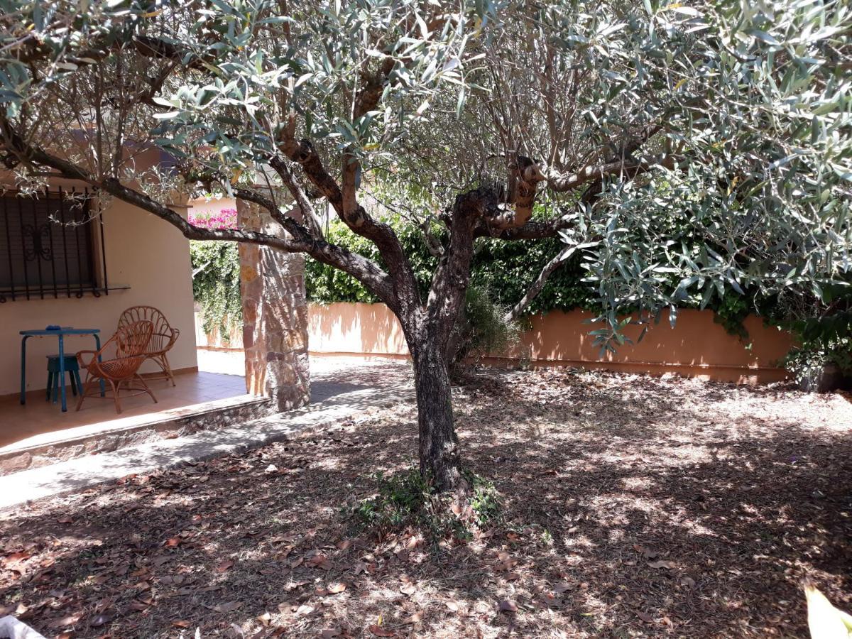 Holiday home Casa Amb Gran Jardi A Vilauer-costa Brava - Alt Emporda Vilaur
