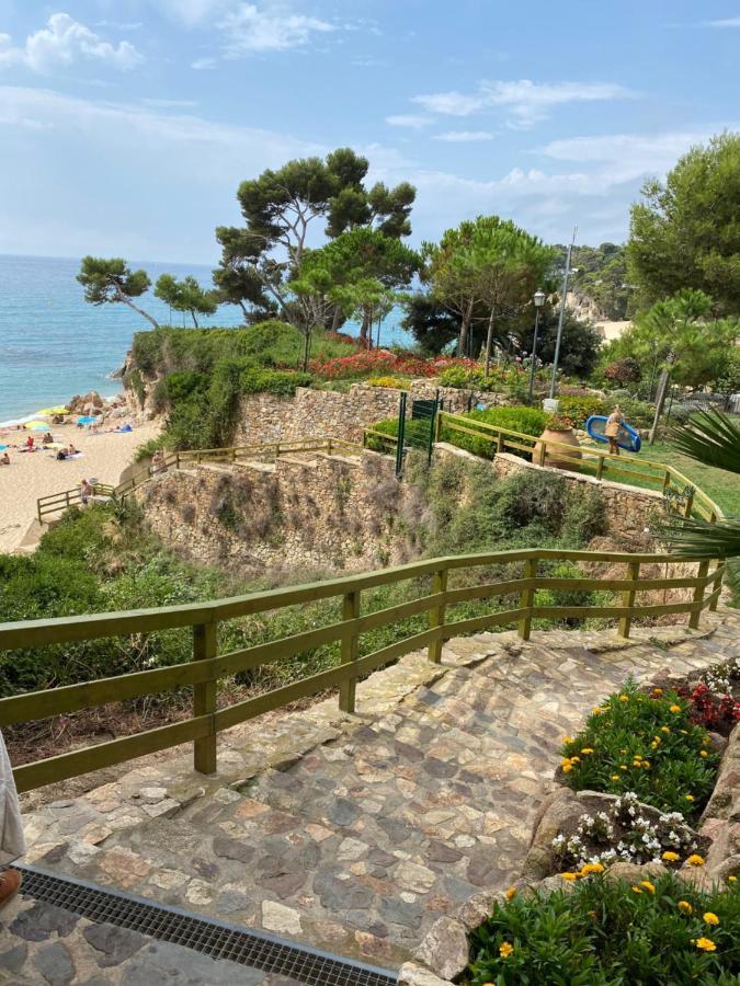 Camping Camping Treumal