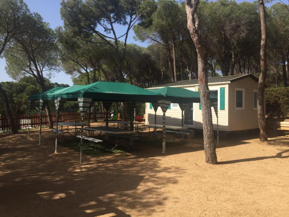 Camping Treumal 4*
