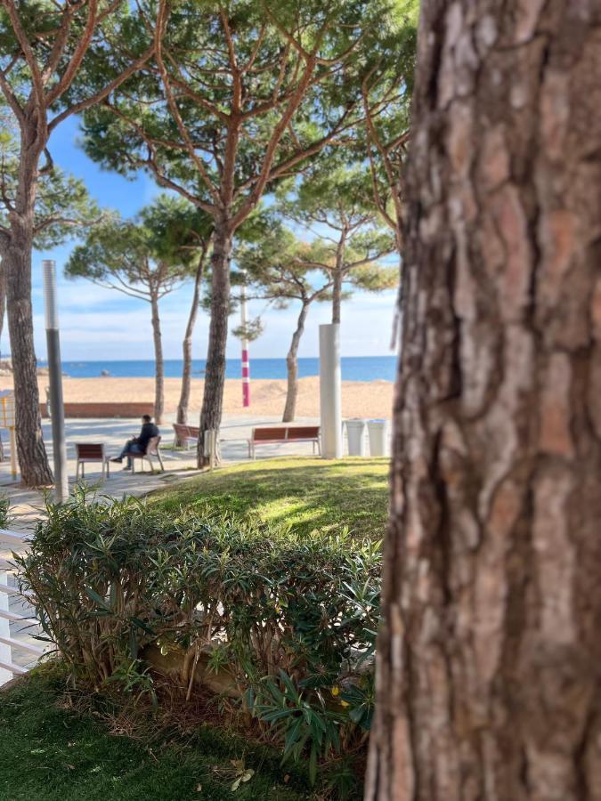 Tamarius Beach Platja d'Aro (Playa de Aro)