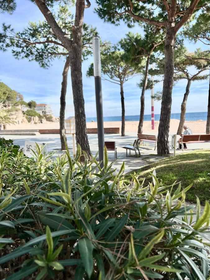 Tamarius Beach Apartamento