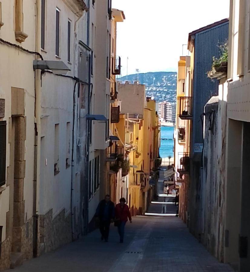 Pis Practic I Agradable Sobre La Marina Palamos