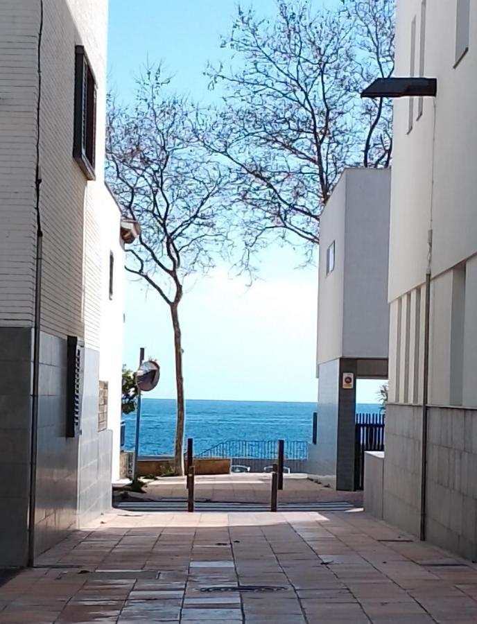 Pis Practic I Agradable Sobre La Marina Palamos