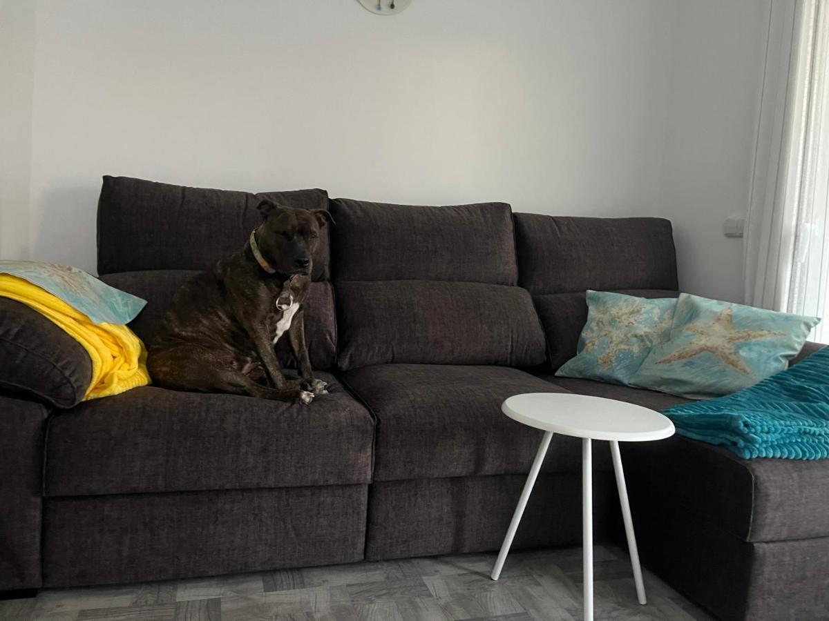 Apartamento Piso Rita