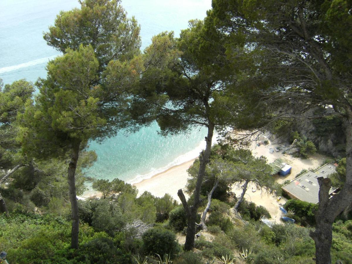 Apartment Cala Llevado