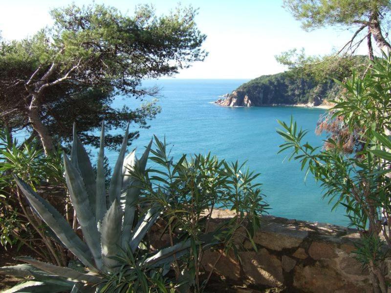 Cala Llevado Apartment Tossa de Mar