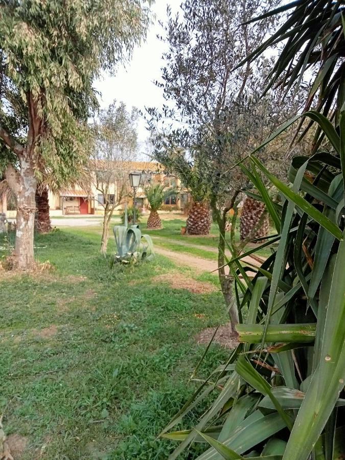 Piano Loft Turismo Rural Costa Brava-vilanova De La Muga Vilanova de la Muga