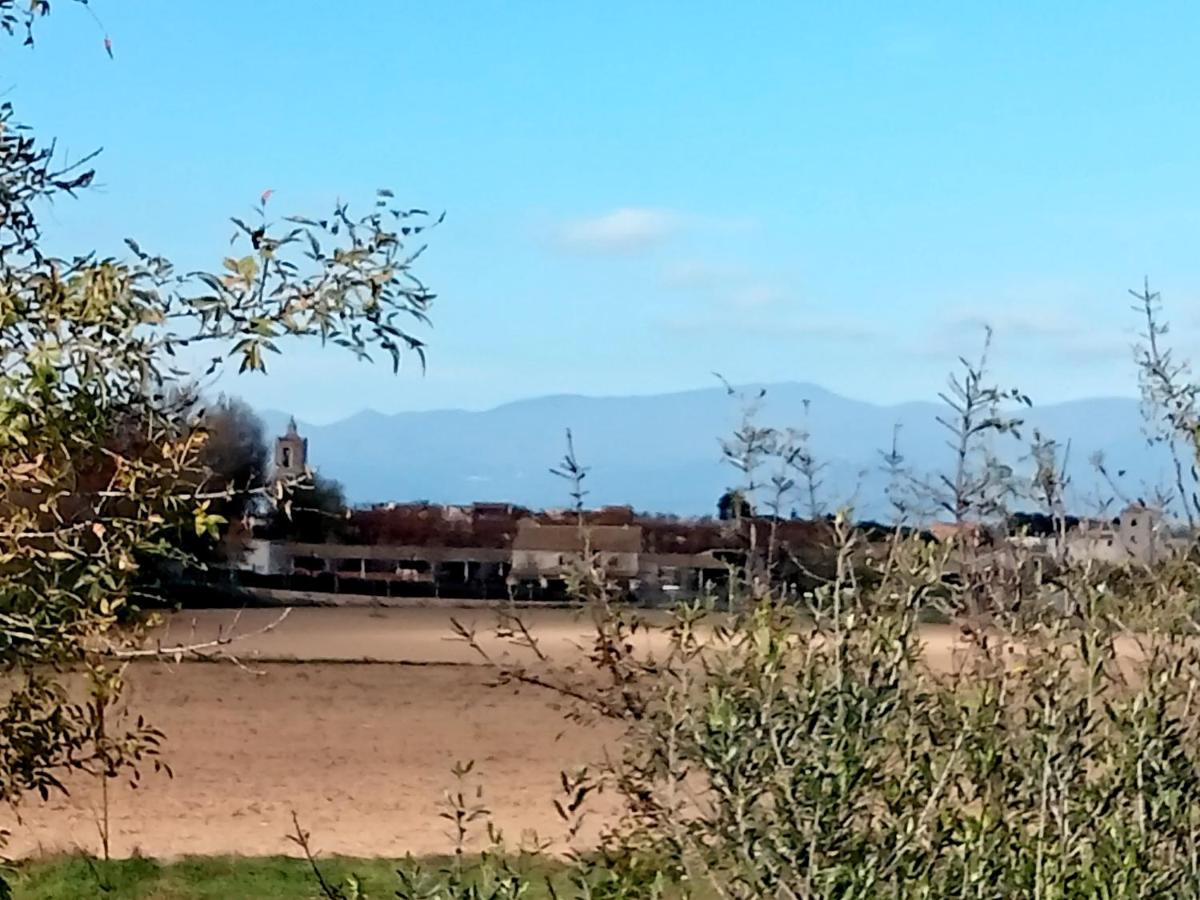Piano Loft Turismo Rural Costa Brava-vilanova De La Muga * Vilanova de la Muga