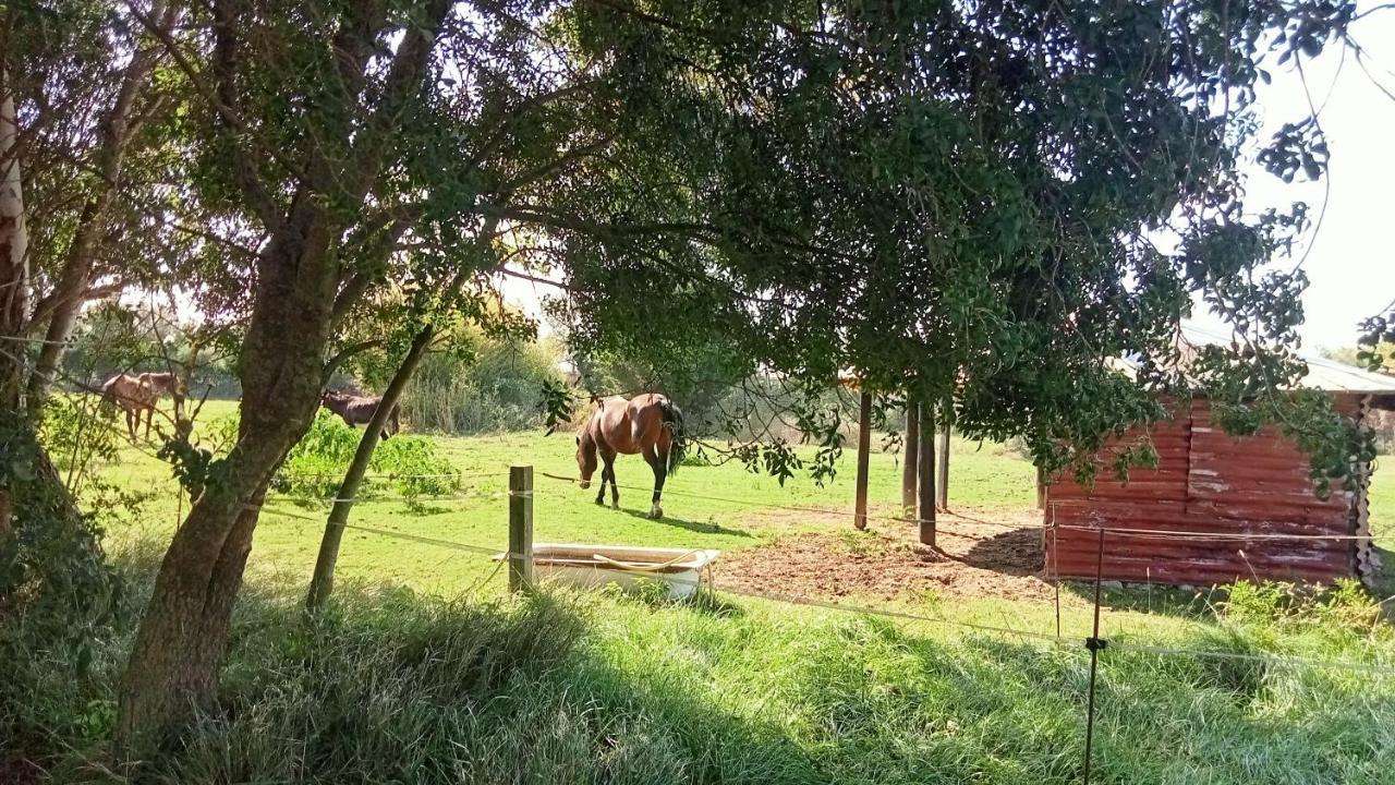 Piano Loft Turismo Rural Costa Brava-vilanova De La Muga Vilanova de la Muga