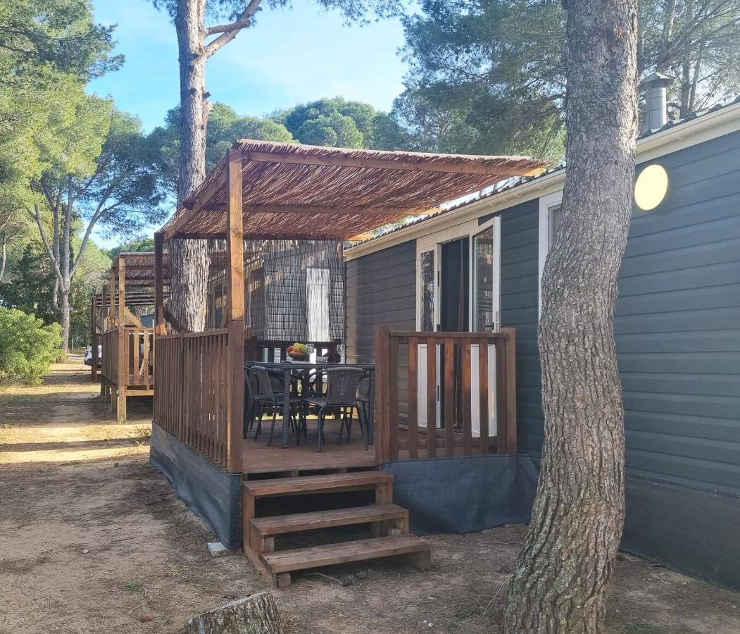 Nomad Ventura Holiday home *