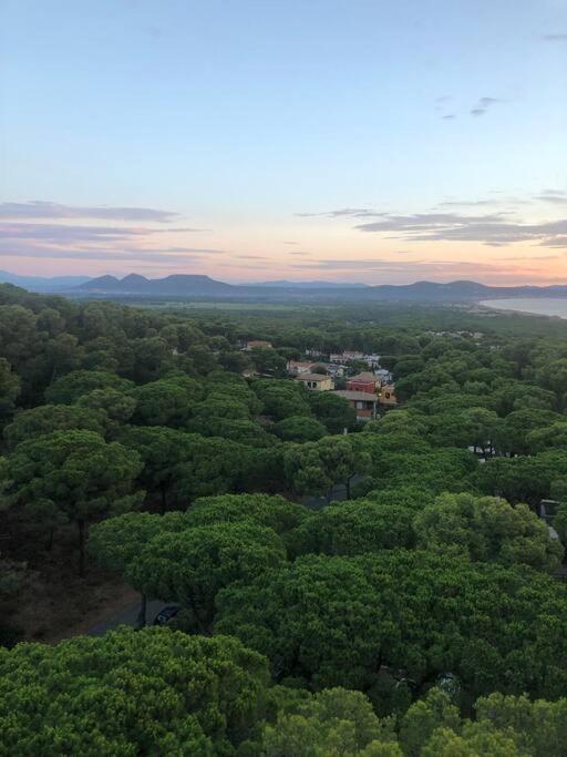 Nuevo. Reformado Con Vistas Panoramicas Y Piscina Apartamento Pals