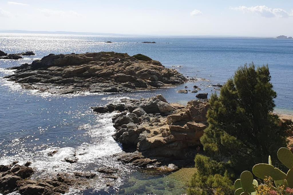 Bonito Piso En Canyelles Apartamento *