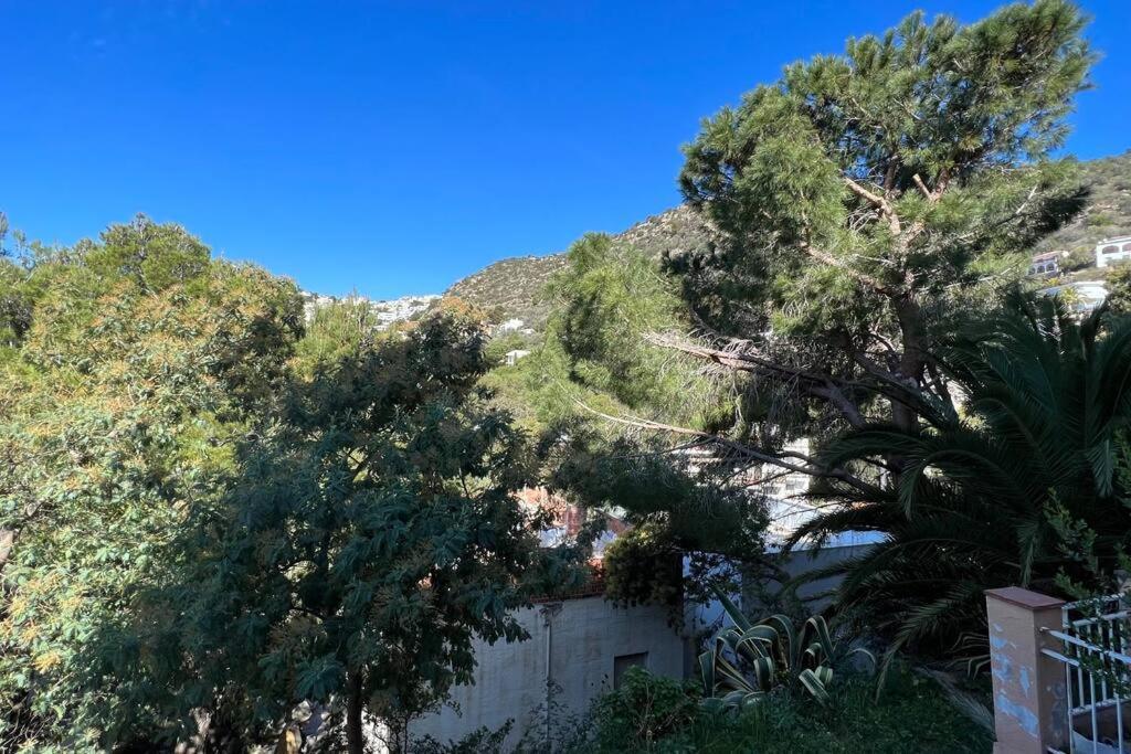 Bonito Piso En Canyelles Apartamento Rosas