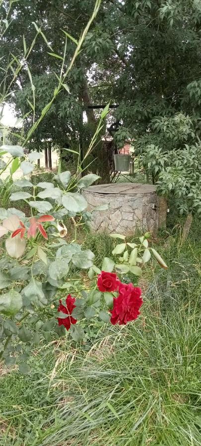 Apartamento Piano Loft Turismo Rural Costa Brava-vilanova De La Muga Vilanova de la Muga