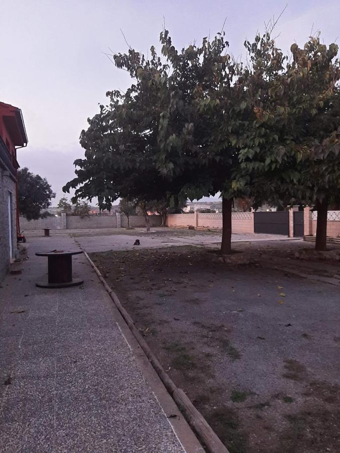 Les Oliveres - Casa- *