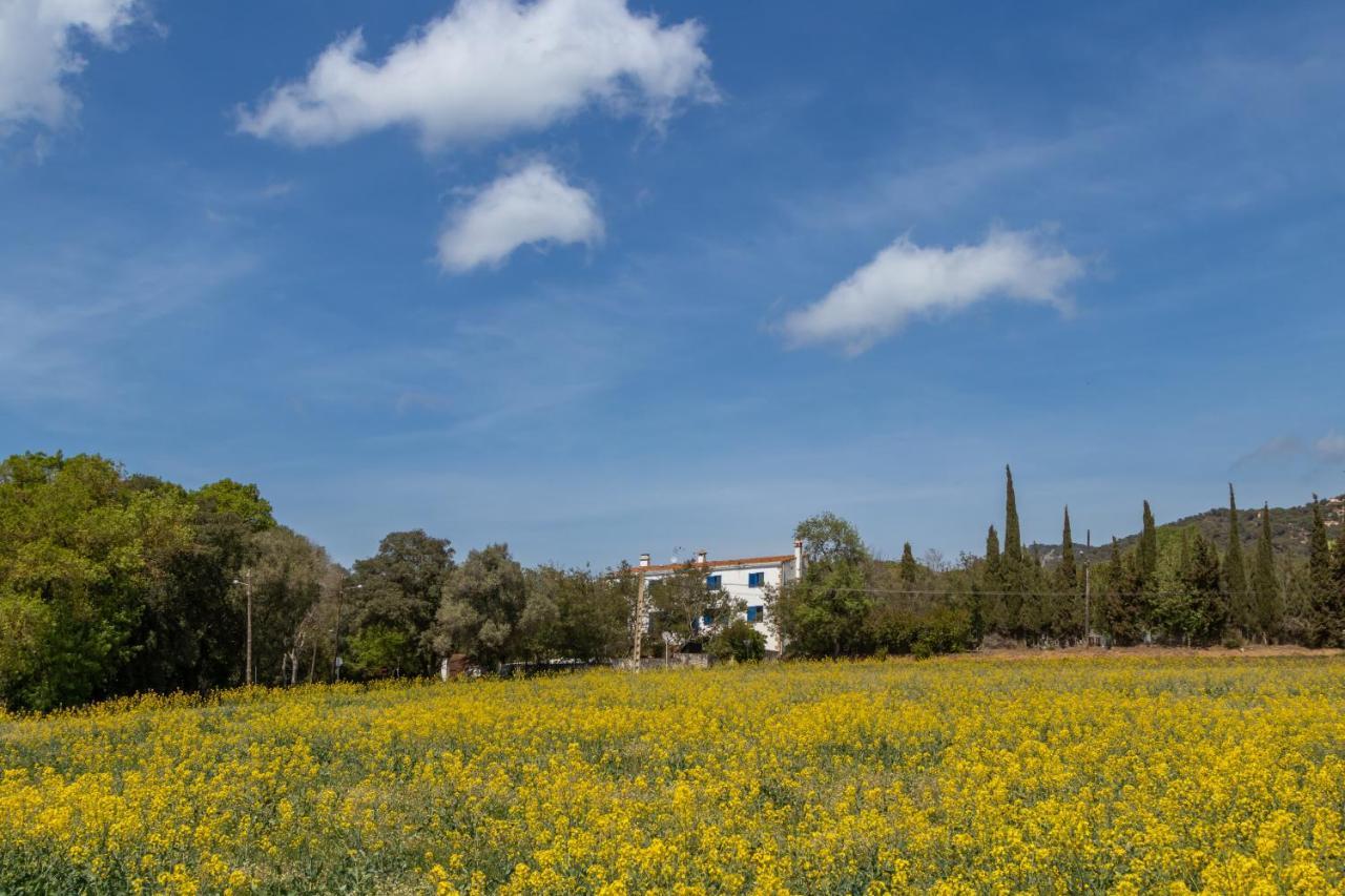 Mas Tinus - Laurel * Santa Cristina d'Aro